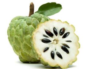 Custard Apple