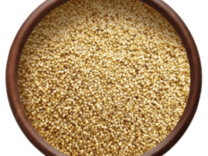 Foxtail Millet