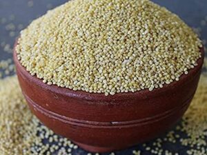 Little Millet