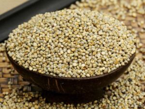 Pearl Millet