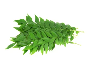 Curry Leaves