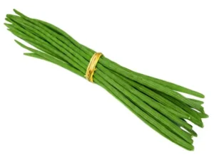 Drumstick