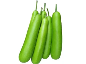 Bottle Gourd