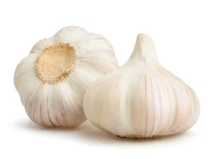 Garlic