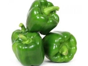 Capsicum