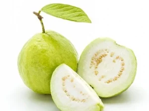 Guava