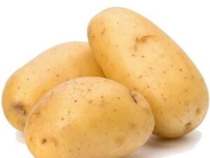 Potato