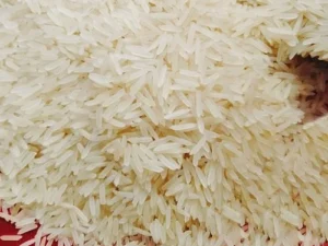 1401 Basmati Rice