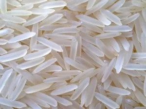 1509 Basmati Rice