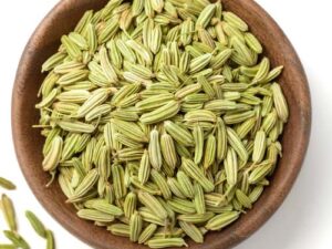 Fennel