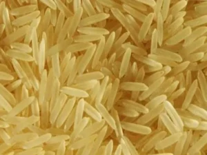 Golden Sella Rice