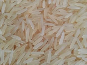 Sugandha Rice