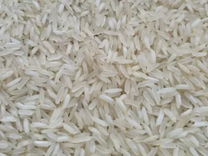 Traditional Rice