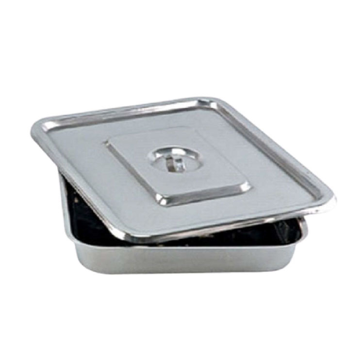 Surgical Tray S. Steel