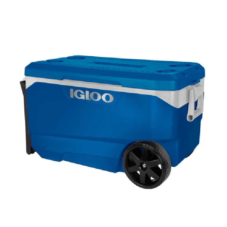 Transport Box Igloo