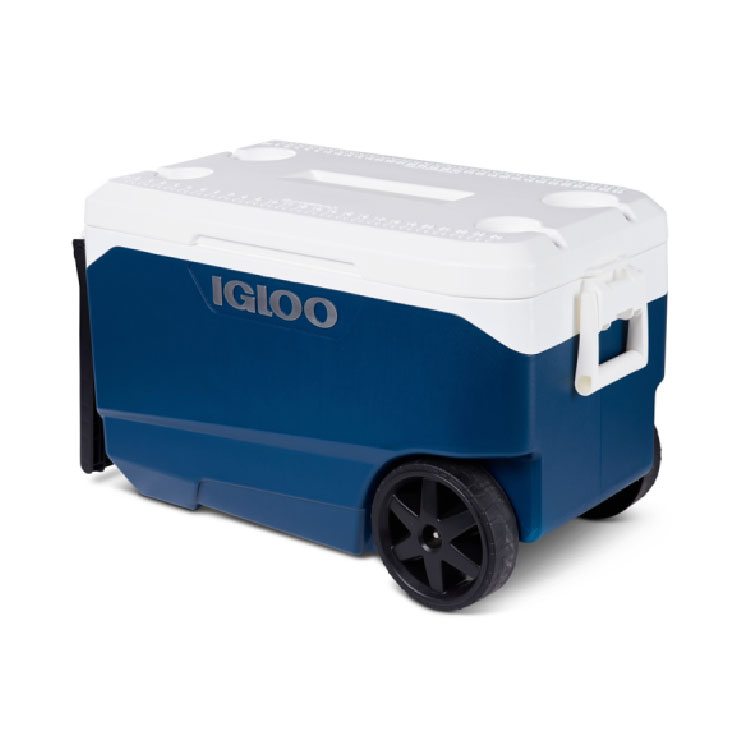 Transport Box Igloo